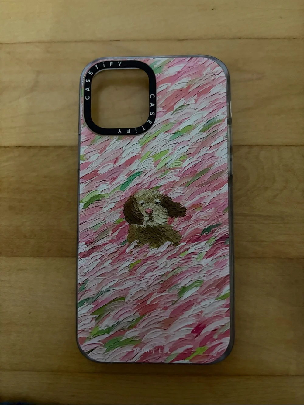 Casetify set or